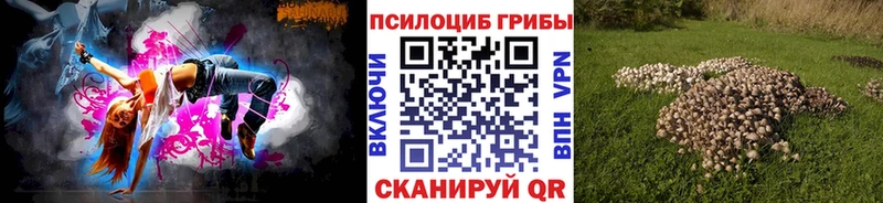 где купить Челябинск omg сайт Псилоцибиновые грибы Cubensis
