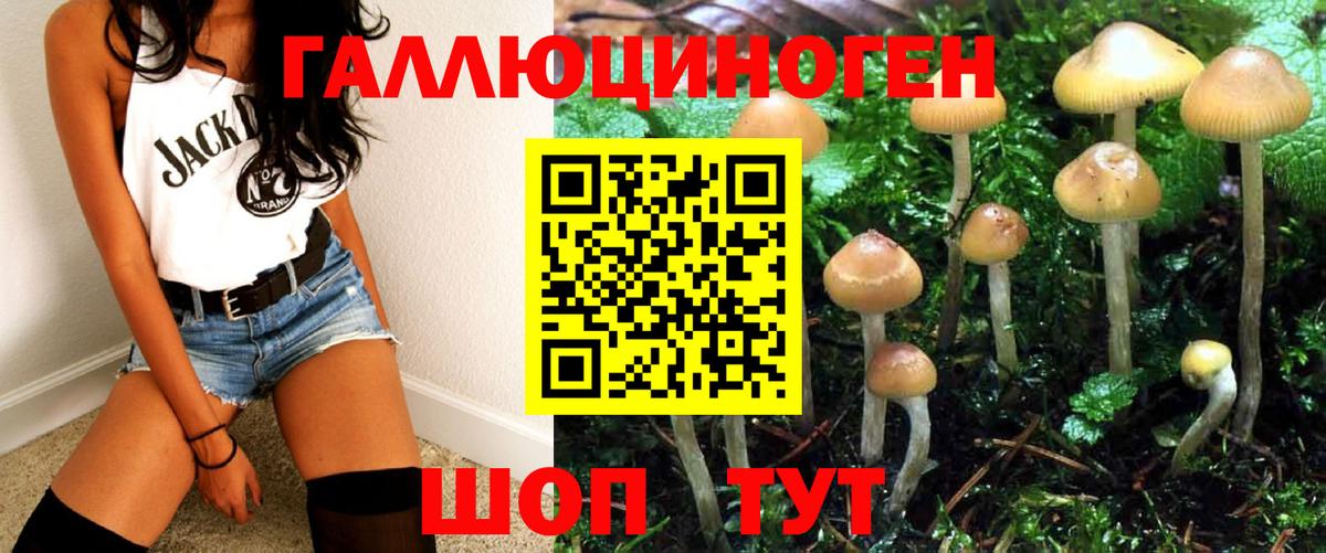 где найти наркотики  Галлюциногенные грибы Psilocybe  Вход с VPN  Челябинск 